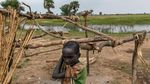 Perubahan Iklim Ancam Mata Pencarian Ribuan Warga Sudan