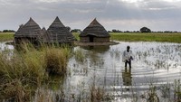 Setidaknya 623.000 orang telah terkena dampak banjir yang meluas di Sudan Selatan sejak Mei.   