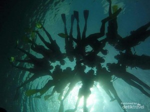 Pulau Pahawang, Surga Bawah Laut yang Tak Jauh dari Jakarta