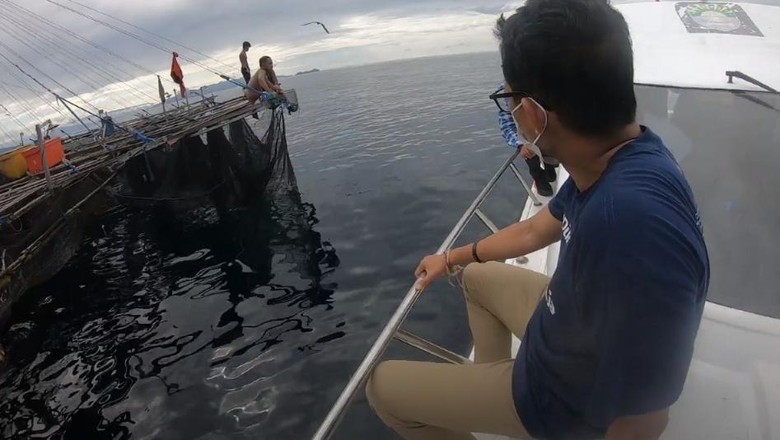 Sandiaga Uno bertemu hiu paus di Papua Barat Sandiaga Uno bertemu hiu paus di Papua Barat