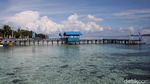 Terhipnotis Keindahan Desa Wisata Arborek