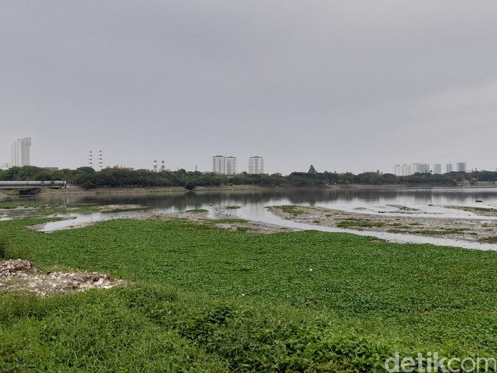 Waduk Pluit di Jakarta Utara, 27 Oktober 2021. (Marteen Ronaldo Pakpahan/detikcom)