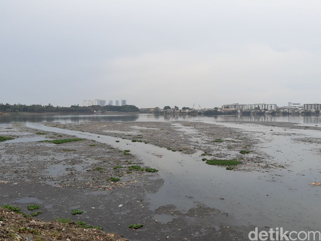 Waduk Pluit di Jakarta Utara, 27 Oktober 2021. (Marteen Ronaldo Pakpahan/detikcom)