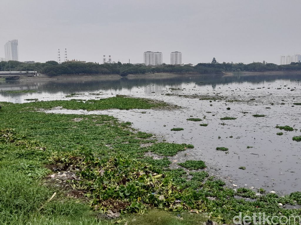 Ekskavator keruk sampah Waduk Pluit, 28 Oktober 2021, siang. (Marteen Ronaldo Pakpahan/detikcom) Ekskavator keruk sampah Waduk Pluit, 28 Oktober 2021, siang. (Marteen Ronaldo Pakpahan/detikcom)