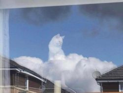 Hati-hati! Lihat Foto Ini Sekilas Bisa Tertipu