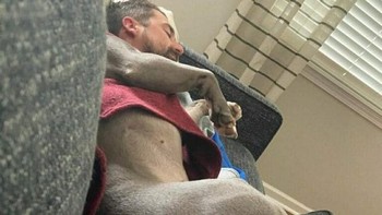 Anjing berkepala manusia? Foto: dok reddit/confusing_perspective