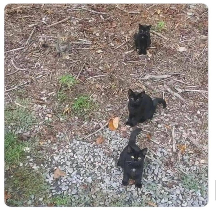 Foto bikin mata tertipu