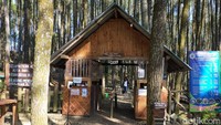 Pintu masuk Hutan Pinus Mangunan juga bisa dijadikan spot foto. Tempatnya unik berupa rumah dengan bahan kayu. (Tasya Khairally/detikcom)