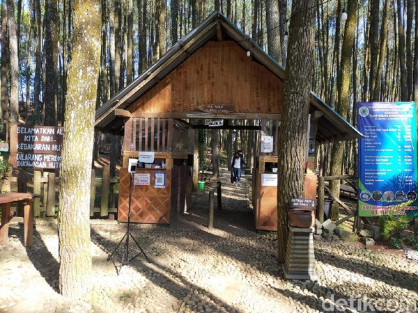 Pintu masuk Hutan Pinus Mangunan juga bisa dijadikan spot foto. Tempatnya unik berupa rumah dengan bahan kayu. (Tasya Khairally/detikcom)