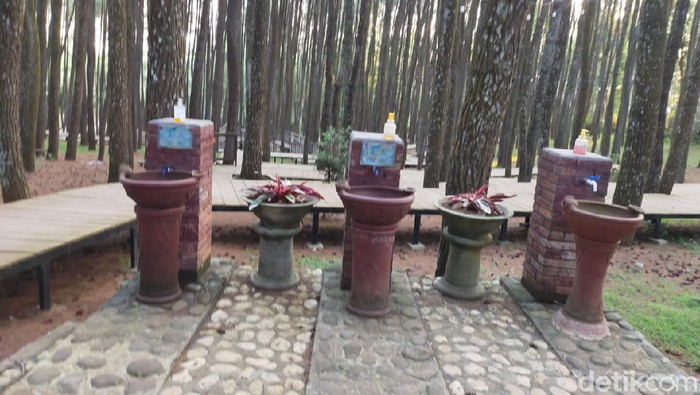 Hutan Pinus Mangunan Hutan Pinus Mangunan