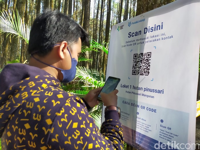 Hutan Pinus Mangunan