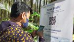 Hutan Pinus Mangunan, Wisata Instagramable dengan Pemandangan Alam di Bantul
