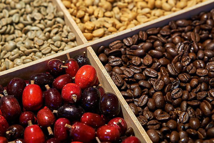 5 Kopi Terbaik dari Daerah Asal Organisasi Sumpah Pemuda