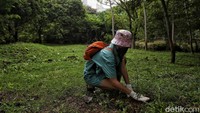 Selain gelar aksi restorasi kerang hijau di perairan Ancol, para relawan juga melakukan aksi menanam 100 pohon khas Jakarta di area ruang terbuka hijau Allianz Ecopark. 