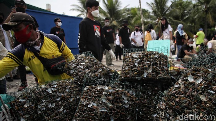 Memperingati Sumpah Pemuda dengan Aksi Menjaga Iklim di Jakarta Sejumlah relawan mengikuti kegiatan Aksi Muda Jaga Iklim di kawasan Ancol, Jakarta Utara. Acara itu digelar dalam rangka memperingati Hari Sumpah Pemuda.