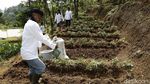 Mengunjungi Desa Wisata Kiarasari yang Asri