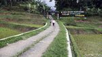 Mengunjungi Desa Wisata Kiarasari yang Asri