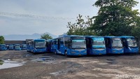 Kepala Divisi Sekretariat Perusahaan Sidik Pramono mengatakan rute bus kota yang ditutup adalah segmen komersial perusahaan. Dia menegaskan Damri Bandung tetap mengoperasikan secara normal segmen-segmen AKDP, AKAP, penugasan Angkutan Perintis, rute BRT Majalaya, dan angkutan Disabilitas.