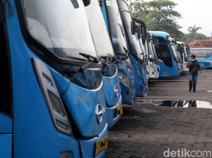 Catat! Tarif Damri Antarkota dari Makassar ke Berbagai Daerah Kini Naik 20%