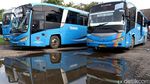 Makin Sepi Penumpang, 8 Rute Damri Bandung Dihentikan