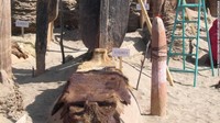 Namun, sebuah studi dilakukan dengan menganalisis DNA dari 13 mumi, analisis menunjukkan bahwa mereka bukanlah pendatang baru tapi kelompok lokal dari populasi Asia Zaman Es Kuno. (Institute of cultural relics and archaelogy)