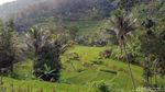 Panorama Alam Jalur Sumedang-Subang via Rancakalong