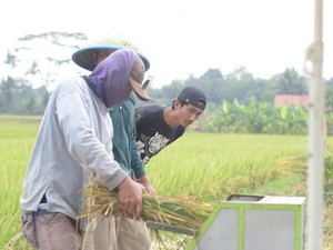 Mantul! Pemuda Ini Berhasil Merakit Alat Perontok Padi Portabel