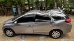 Braaak...! Mobil di Riau Ini Ringsek Ketimpa Pohon