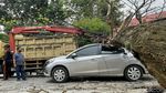 Braaak...! Mobil di Riau Ini Ringsek Ketimpa Pohon