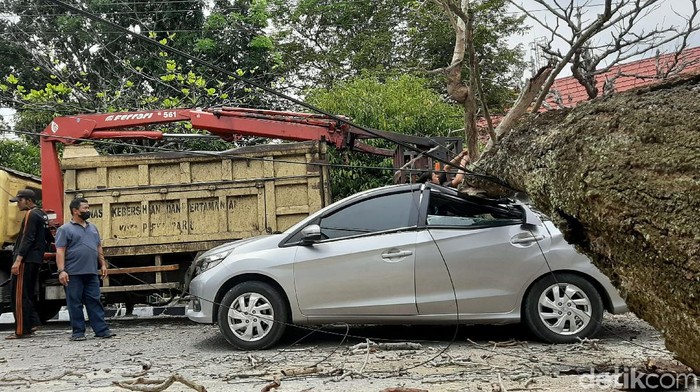 Penampakan Mobil yang Tertimpa Pohon di Riau Sebuah mobil tertimpa pohon kering di jalanan Pekanbaru, Riau. Akibat kejadian tersebut bagian tengah mobil tampak ringsek.
