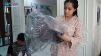 Nagita Slavina mengaku memang menginginkan stroller itu, tapi mengurungkan niatnya karena harganya yang mahal. Foto: YouTube Rans Entertainment