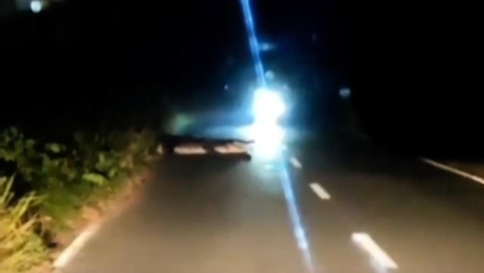 Tangkapan layar video viral buaya besar cegat pengendara di Jalan Sambera, Desa Tanjung Limau, Kecamatan Muara Badak, Kukar, Kaltim.
