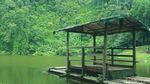 Pemandangan Syahdu dari Telaga Warna Puncak, Bogor