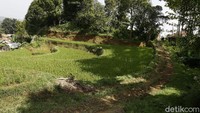 Sebagain informasi, detikcom bersama MIND ID mengadakan program Jelajah Tambang berisi ekspedisi ke daerah pertambangan Indonesia. detikcom menyambangi kota-kota industri tambang di Indonesia untuk memotret secara lengkap bagaimana kehidupan masyarakat dan daerah penghasil mineral serta bagaimana pengolahannya. Untuk mengetahui informasi lebih lengkap, ikuti terus beritanya di detik.com/jelajahtambang.