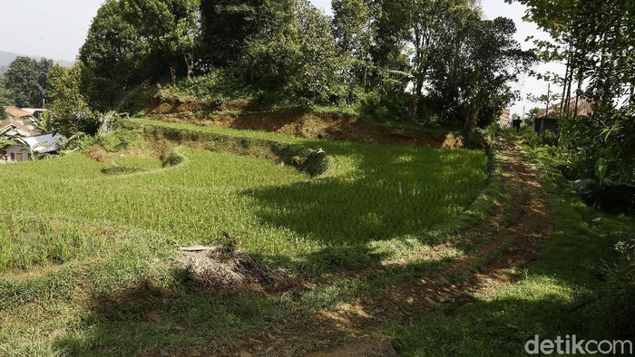 Selain alamnya yang asri, Desa Wisata Kiarasari, Kecamatan Sukajaya, Kabupaten Bogor, juga menyajikan area camping ground. Yuk lihat.
