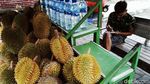Durian Lereng Gunung Merapi Menunggu Pembeli