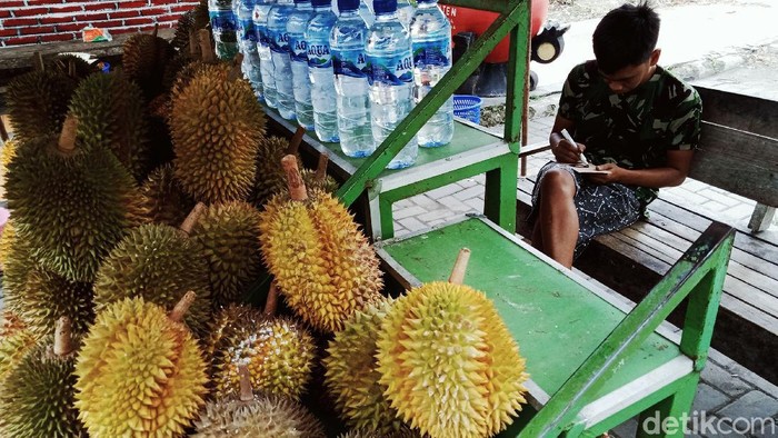Durian Lereng Gunung Merapi Menunggu Pembeli Musim durian telah tiba. Pedagang di lereng Gunung Merapi pun mulai menjajalan buah beraroma menggoda itu di pusat kota Klaten.