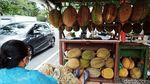 Durian Lereng Gunung Merapi Menunggu Pembeli