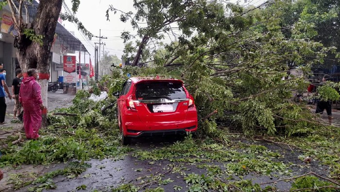 Hujan Es Terjang Mojokerto, Pohon Tumbang Timpa 2 Kendaraan