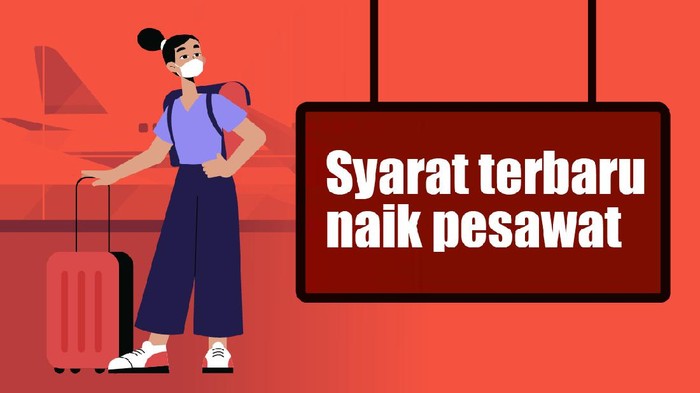 Infografis Syarat Terbang Terbaru