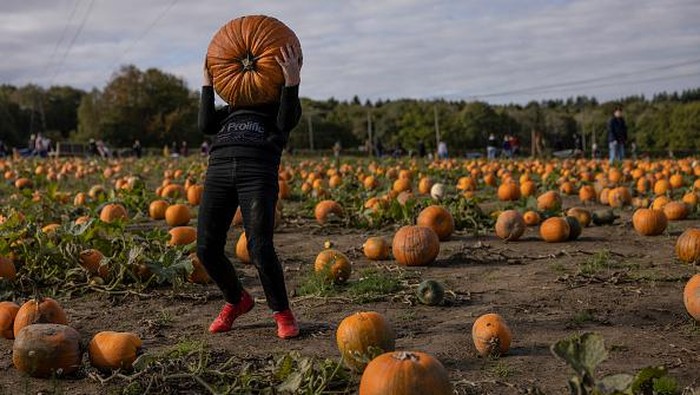 Kapan Hari Halloween dan Sejarah di Baliknya