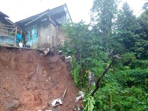 Bogor Diguyur Hujan Deras, Longsor-Pohon Tumbang Terjang 13 Titik