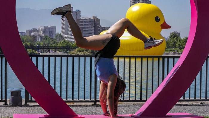 Lucu Banget, Ada 'Bebek' Raksasa Ngapung di Danau Chili A giant inflatable rubber duck designed by Dutch artist Florentijn Hofman floats in a lake at the Parque de la Familia in Santiago, Chile, Thursday, Oct. 28, 2021. The world-famous sculpture of the iconic bath time toy is a part of the annual