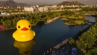 Bebek ini berukuran 26 x 20 x 32 meter dan merupakan bebek karet paling besar di dunia.  