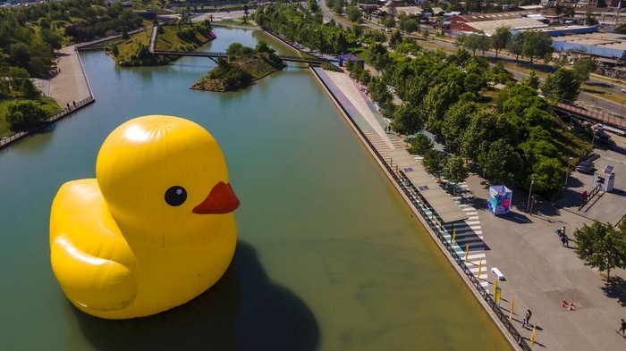 A giant inflatable rubber duck designed by Dutch artist Florentijn Hofman floats in a lake at the Parque de la Familia in Santiago, Chile, Thursday, Oct. 28, 2021. The world-famous sculpture of the iconic bath time toy is a part of the annual 