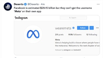 Ironis, Meta tidak bisa menggunakan nama Meta di Instagram. Foto: Daily Mail