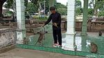 Penampakan Monyet yang Disebut Jelmaan Pesugihan di TPU Ngujang Tulungagung