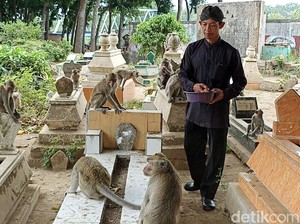 Kisah Makam Ngujang dan Kera Jelmaan Gaib