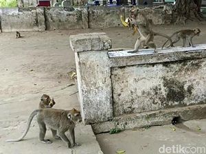 3 Cerita Pesugihan Paling Terkenal di Jawa Timur