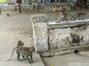 3 Cerita Pesugihan Paling Terkenal di Jawa Timur